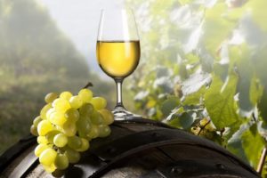 bokal_belogo_vina