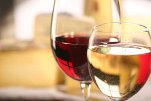 vino28